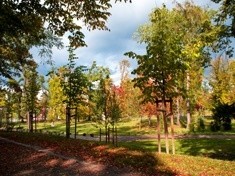 Renesans Parku Miejskiego w Legnicy